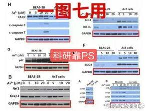 华中大学最新爆料,揭秘科研突破背后的故事  第3张