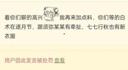 最新白术爆料,揭秘神秘事件背后的真相