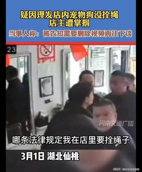 仙桃最新爆料事件视频播放,视频揭秘事件真相，网友热议不断  第2张