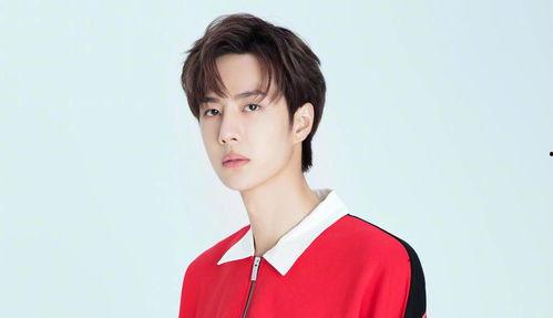 任嘉伦最新粉料爆料视频,幕后故事与幕后英雄  第2张