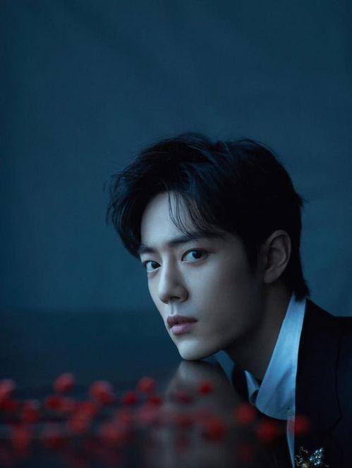 任嘉伦最新粉料爆料视频,幕后故事与幕后英雄  第3张