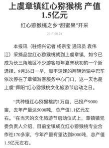 杭州日报热点爆料新闻最新,揭秘杭州最新网红打卡地，带你领略城市魅力新地标