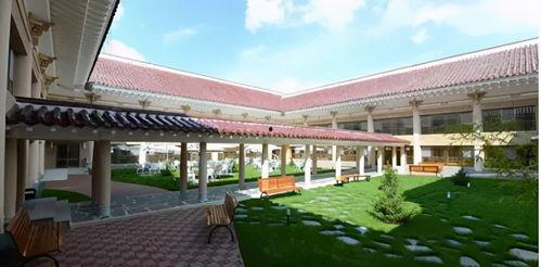 网红弯弯最新爆料动态,揭秘网红圈层内幕  第2张