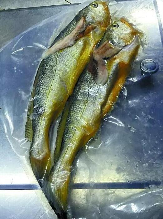 小黄鱼爆料新闻最新消息,最新热点事件深度解析 第2张 小黄鱼爆料新闻最新消息,最新热点事件深度解析 第2张