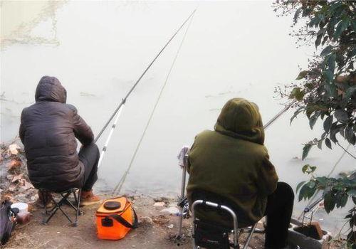 钓鱼爆料视频大全集最新,最新爆料视频大全集深度解析 第3张 钓鱼爆料视频大全集最新,最新爆料视频大全集深度解析 第3张