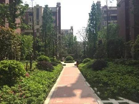 六安碧桂园最新爆料,揭秘全新规划与亮点抢先看  第2张