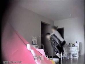 张家界节目视频最新爆料,幕后花絮与精彩瞬间大曝光  第2张