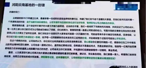 内部员工爆料最新,揭秘公司最新动态与内部员工爆料