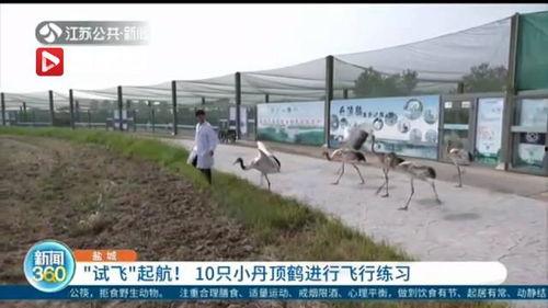 盐城新闻盐城爆料视频最新,视频揭露惊人真相! 第2张 盐城新闻盐城爆料视频最新,视频揭露惊人真相! 第2张