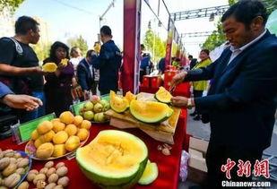 翰林院吃瓜爆料最新进展,最新进展揭秘，真相即将浮出水面