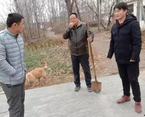 陈店镇本地爆料案件最新,疑云重重，真相待解！