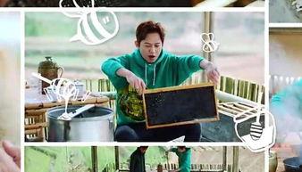 向往总导演最新爆料,最新爆料揭示节目幕后故事与精彩瞬间！  第3张