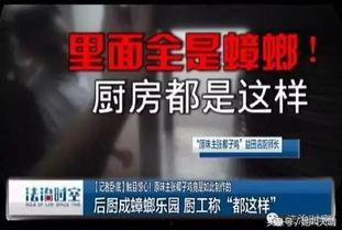 深圳张大哥最新爆料,最新爆料背后的惊人真相  第2张