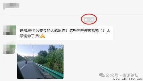 远安最新爆料事件,揭秘事件背后惊人真相  第2张