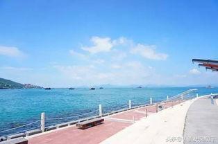 深圳南澳最新爆料,揭秘神秘爆料背后的精彩故事