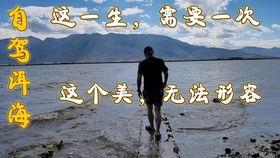 云南校园爆料案件最新,真相揭开，校园安全再引关注  第2张