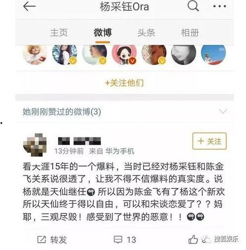 天涯最新爆料林建山,揭秘天涯风云人物背后真相  第2张