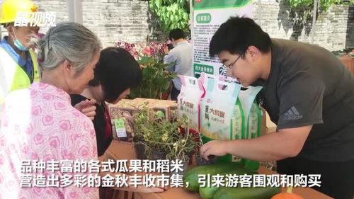 五一最新吃瓜爆料新闻视频,热门新闻视频幕后真相曝光