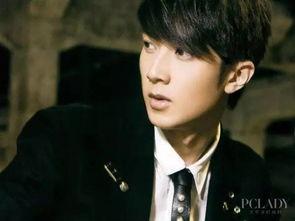 娱乐圈最新爆料男星名单,揭秘当红男星名单背后的秘密  第3张