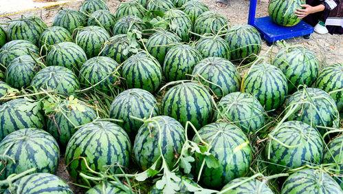 山东临沂十八中吃瓜最新事件爆料,校园风波背后的真相揭秘  第3张