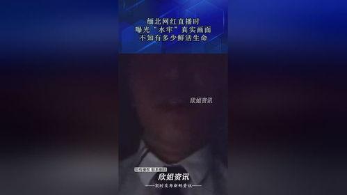 缅北直播爆料最新消息,揭秘神秘势力动态  第2张