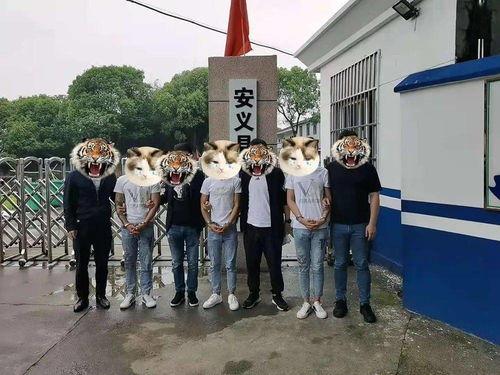 安义爆料盗窃最新消息,追回失窃财物，还市民安宁  第2张