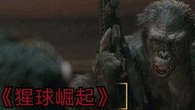 凯撒最新一话爆料,神秘事件背后隐藏的惊天秘密  第3张