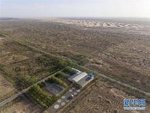 阿拉善左旗爆料案件最新  第3张