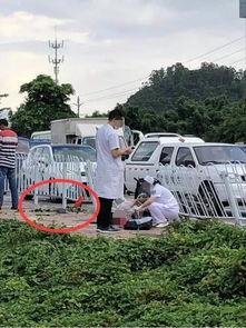 南沙车祸爆料最新,悲剧现场细节披露，事故原因调查深入
