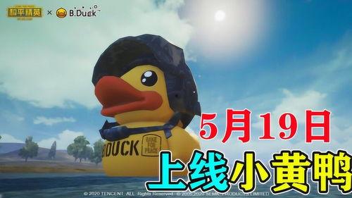 旭升最新爆料  第3张