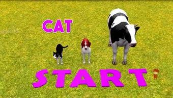 炊牛老爹最新爆料人,人生百态，独家爆料背后的故事  第3张