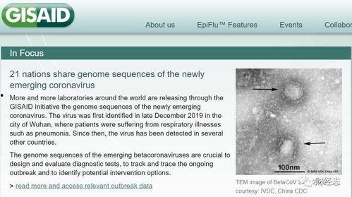 美国病毒最新情况爆料,病毒变异与传播趋势深度解析  第3张