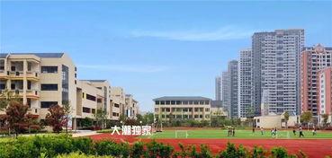 广西建院爆料最新消息新闻,重大事件引发广泛关注  第3张