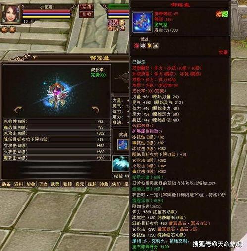 天龙八部2峨眉技改最新爆料,天龙八部2峨眉门派技能革新揭秘