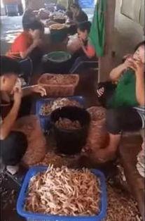 鸡的最新爆料视频大全  第2张