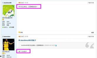 最新网传爆料消息视频播放,真相与疑云交织