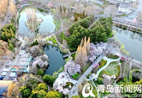 中山公园最新爆料信息网,揭秘公园焕新背后的故事  第2张