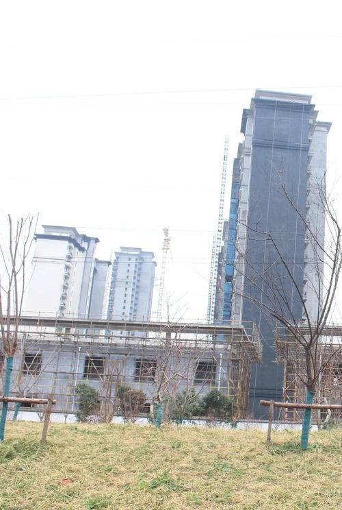 亳州市最新爆料 第3张 亳州市最新爆料 第3张