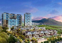 依云小镇爆料最新消息,揭秘神秘项目即将盛大启幕！